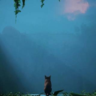 Lonely cat wallpaper