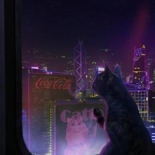 Lonely cat wallpaper