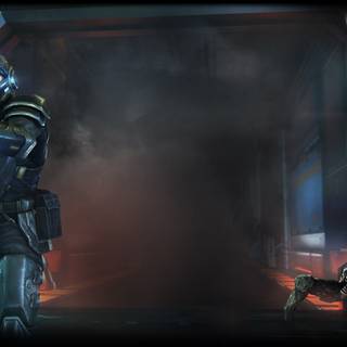 Natural Selection wallpaper