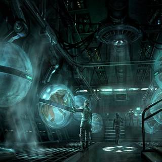 Natural Selection wallpaper