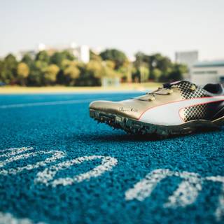 Tennis shoes wallpaper