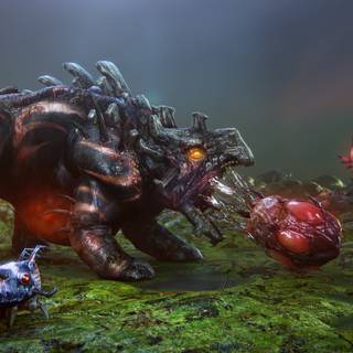 Natural Selection wallpaper