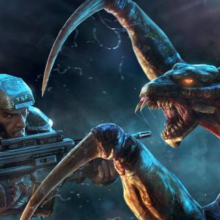 Natural Selection wallpaper