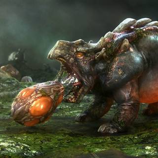 Natural Selection wallpaper