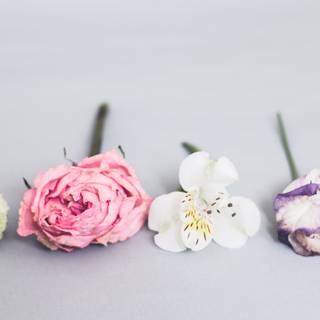 Fake flowers wallpaper