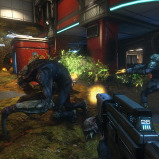 Natural Selection wallpaper