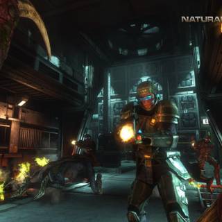 Natural Selection wallpaper