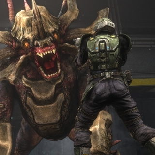 Natural Selection wallpaper