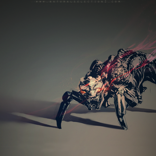 Natural Selection wallpaper