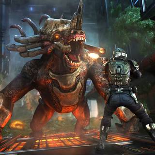 Natural Selection wallpaper