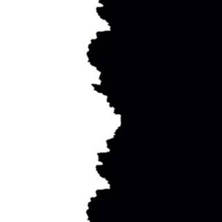 Half black wallpaper