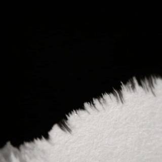 Half black wallpaper