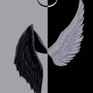 Half black wallpaper