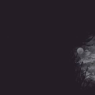 Half black wallpaper