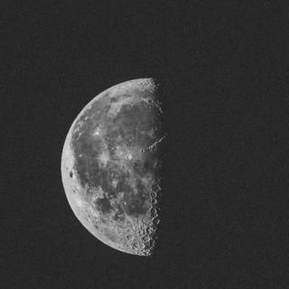 Half black wallpaper