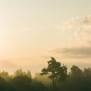 iPhone official nature wallpaper