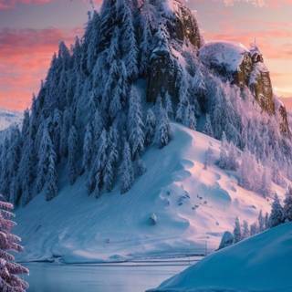 iPhone official nature wallpaper