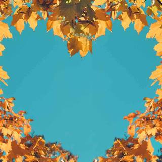 Aesthetic blue fall wallpaper