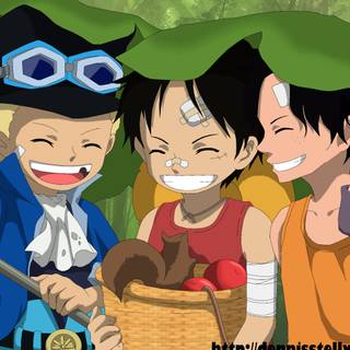 Anime Luffy and Ace wallpaper