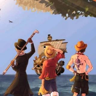 Anime Luffy and Ace wallpaper