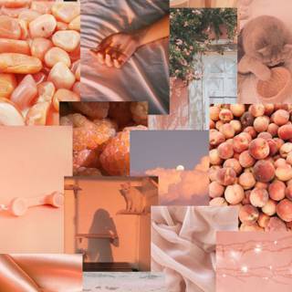 Peach summer wallpaper