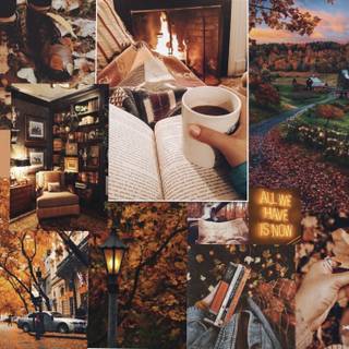 Autumn collages laptop wallpaper