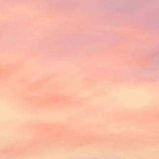 Peach summer wallpaper