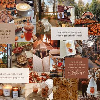 Autumn collages laptop wallpaper