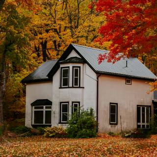 Autumn cozy house wallpaper