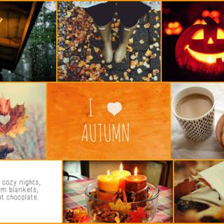 Autumn collages laptop wallpaper