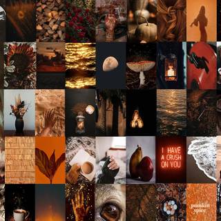 Autumn collages laptop wallpaper