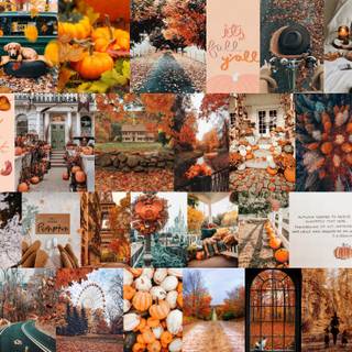 Autumn collages laptop wallpaper