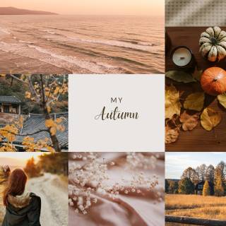 Autumn collages laptop wallpaper