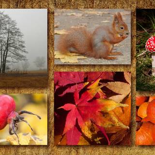 Autumn collages laptop wallpaper