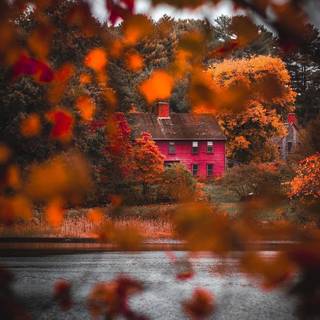 Autumn cozy house wallpaper
