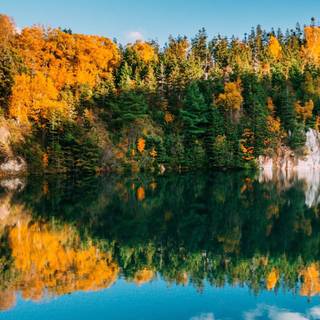 Autumn lake phone wallpaper