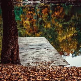 Autumn lake phone wallpaper