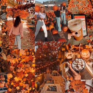 HD autumn collage wallpaper