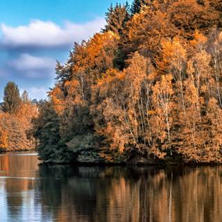 Autumn lake phone wallpaper