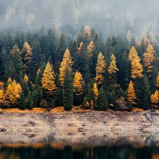 Autumn lake phone wallpaper