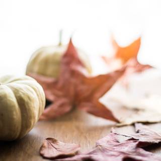 Cozy autumn iPad wallpaper