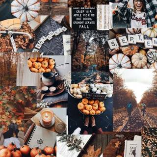 HD autumn collage wallpaper