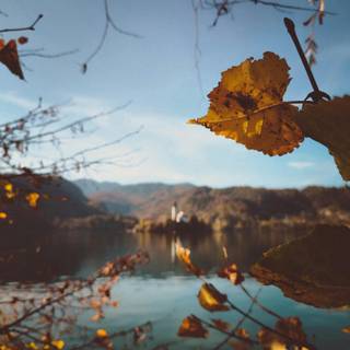 Autumn lake phone wallpaper