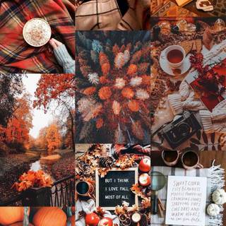 Cozy autumn iPad wallpaper