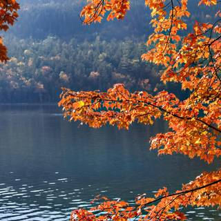 Autumn lake desktop wallpaper