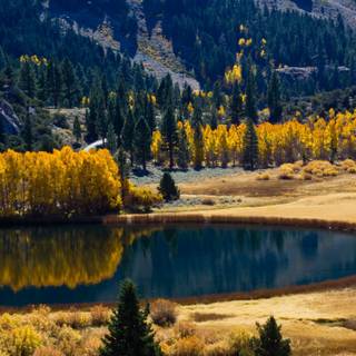 Autumn lake mountain wallpaper