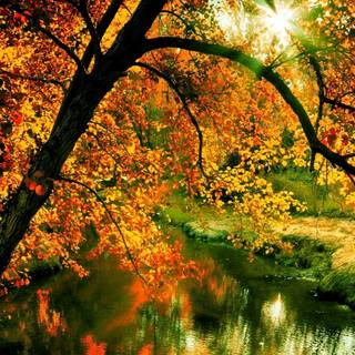 Horizontal autumn wallpaper