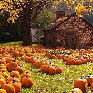 Autumn farm 1920x1080 wallpaper