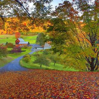 Autumn farm 1920x1080 wallpaper