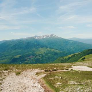 Summer paths wallpaper